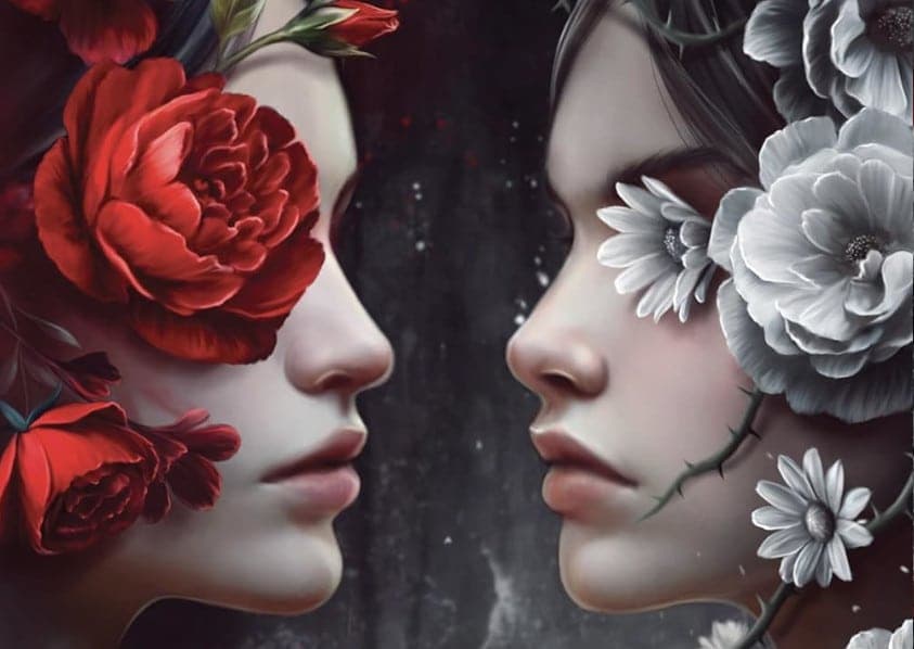 Dark romance : un phénomène éditorial